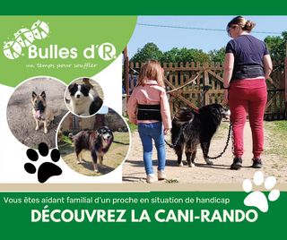 Découvrez la cani-rando avec Bulles d'R
